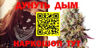 шишки Можайск