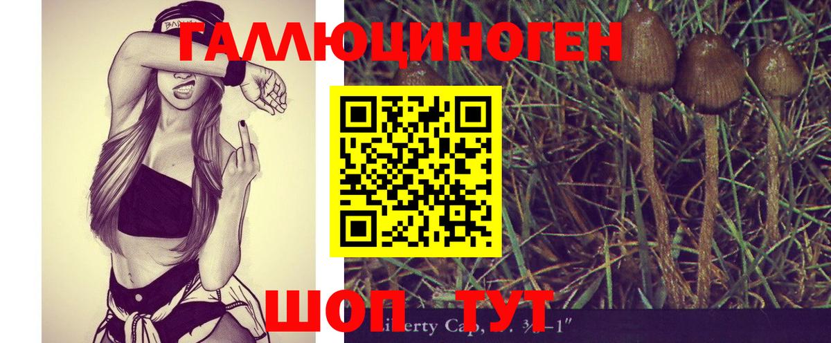 Псилоцибиновые грибы ЛСД Усть-Джегута