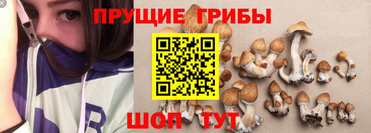 купить  сайты  Галлюциногенные грибы мухоморы  Вход с VPN  Усть-Джегута 